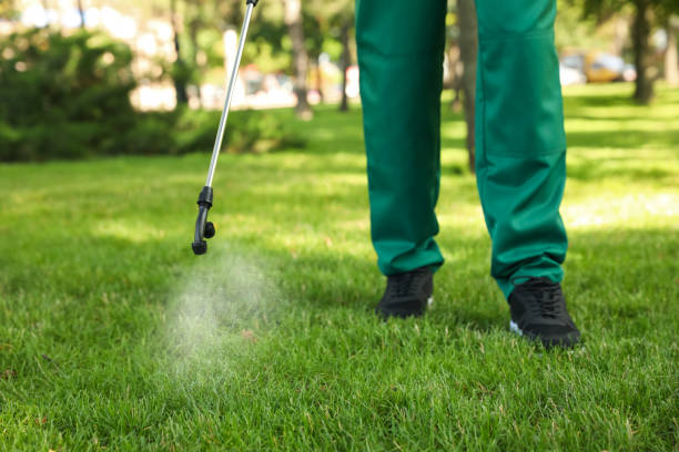 Best Residential Pest Control  in Baudette, MN