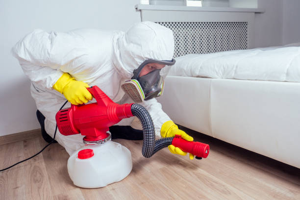 Trusted Baudette, MN Pest Control Experts