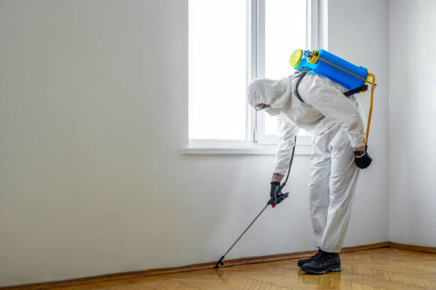 Best Commercial Pest Control Services  in Baudette, MN