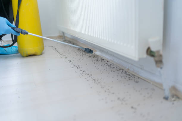 Best Best Pest Control Companies  in Baudette, MN