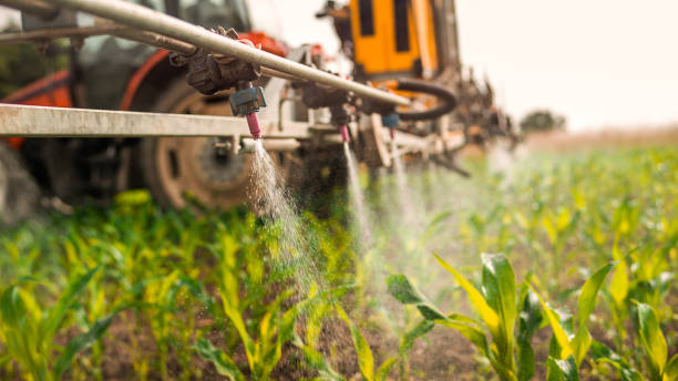 Pest Control Cost in Baudette, MN