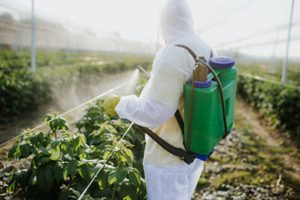 Best Cockroach Control Services  in Baudette, MN